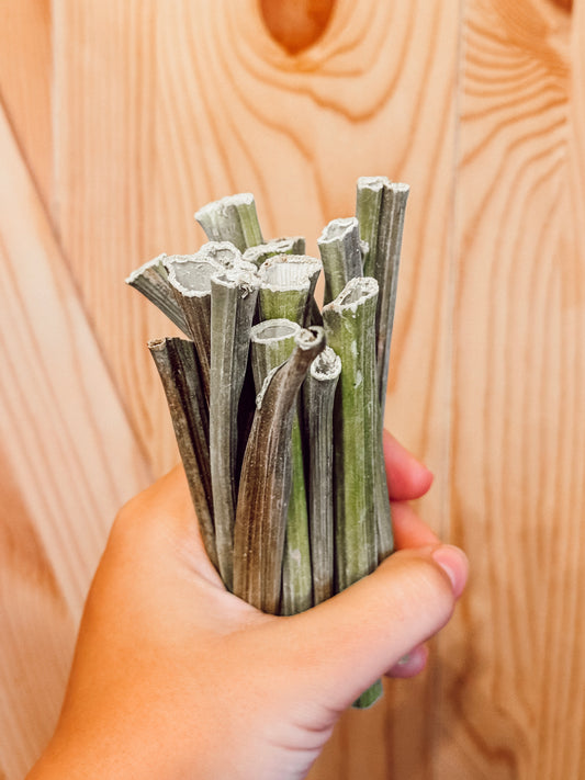 Papaya Stems (50g)
