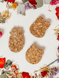 Load image into Gallery viewer, Seedy Treats (3-pack)