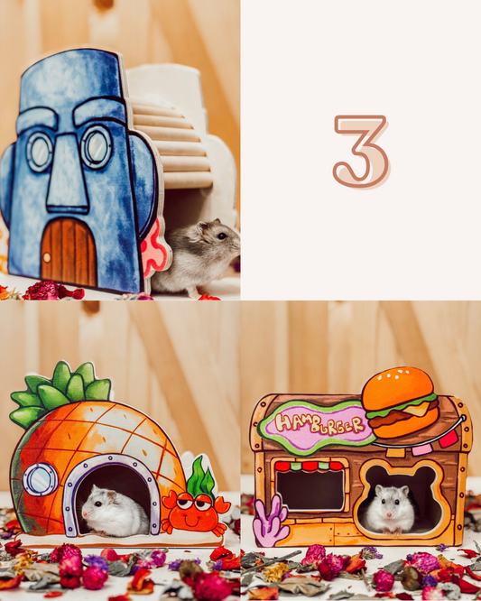 Classic Squarepants Bundle