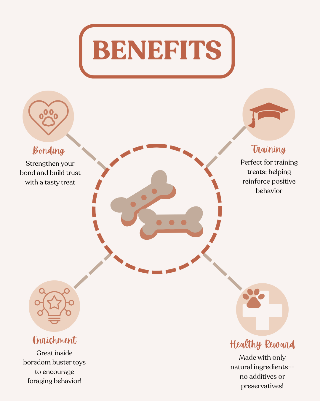 Veggie Boredom Breaker Bundle (5-pack)