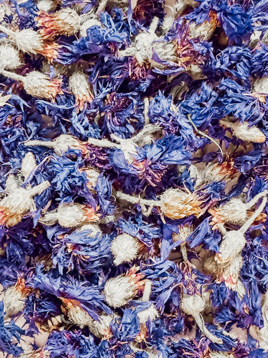 Corn Flower (20g)