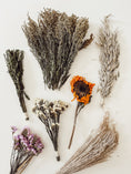 Load image into Gallery viewer, Ultimate Spray Bundle (3-pack)