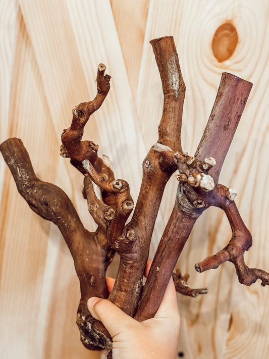 Grapevine Bundle (3-pack)