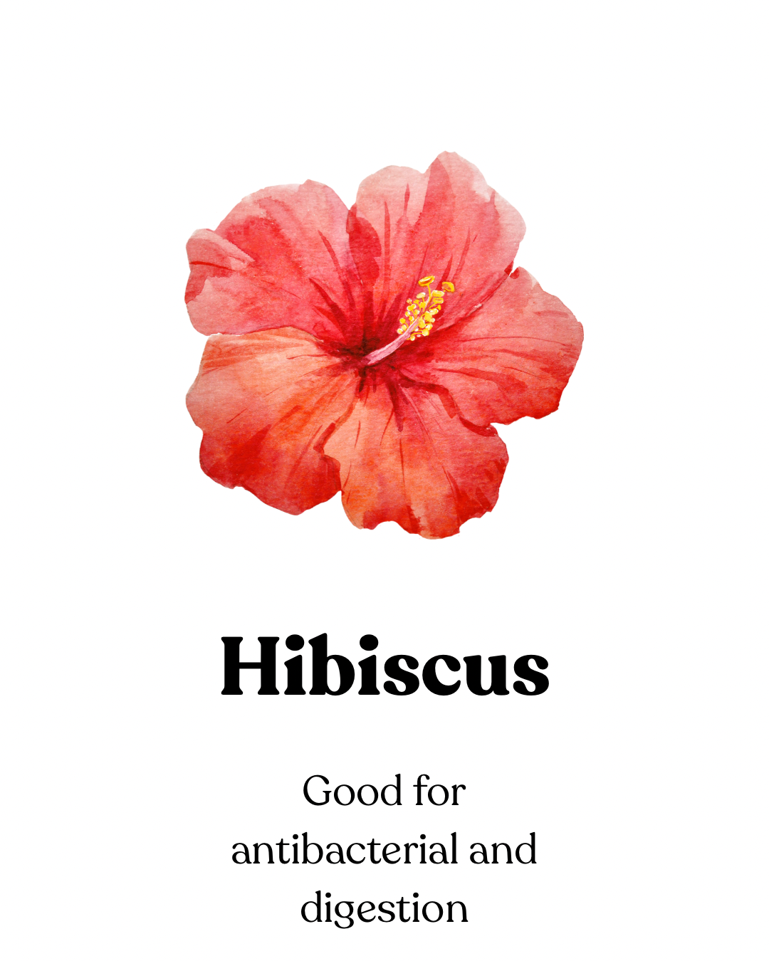 Dried Hibiscus Treats