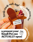 Load image into Gallery viewer, SMALL PET Bonding, & Puzzle Toy - ADVENT CALENDAR (24 days)