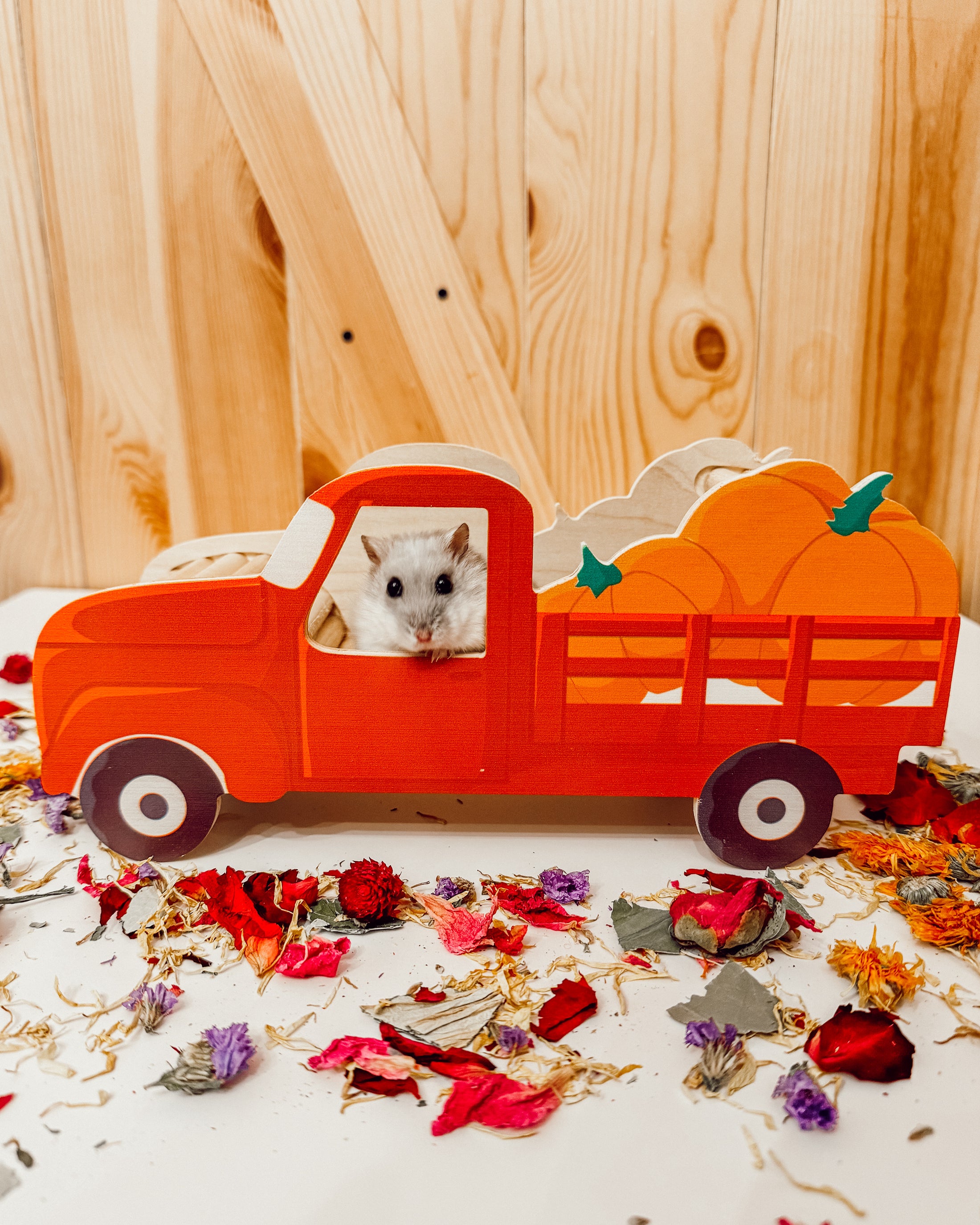 Vintage Pumpkin Truck