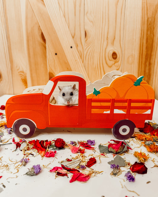 Vintage Pumpkin Truck