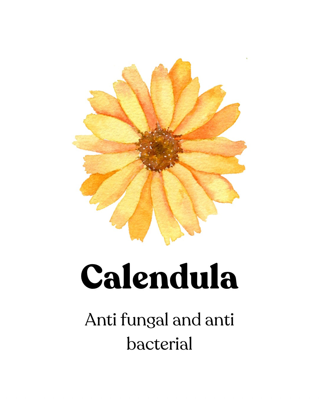 Calendula (75g)