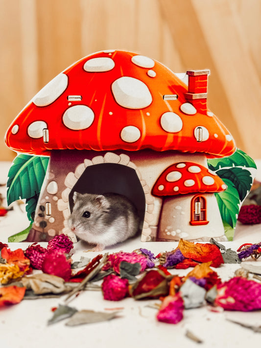 Mushroom Hamster Cottage