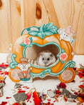 Load image into Gallery viewer, Cinderella’s Pumpkin Carriage