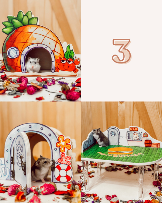 Squarepants Platform, Hide, and Peek-A-Boo