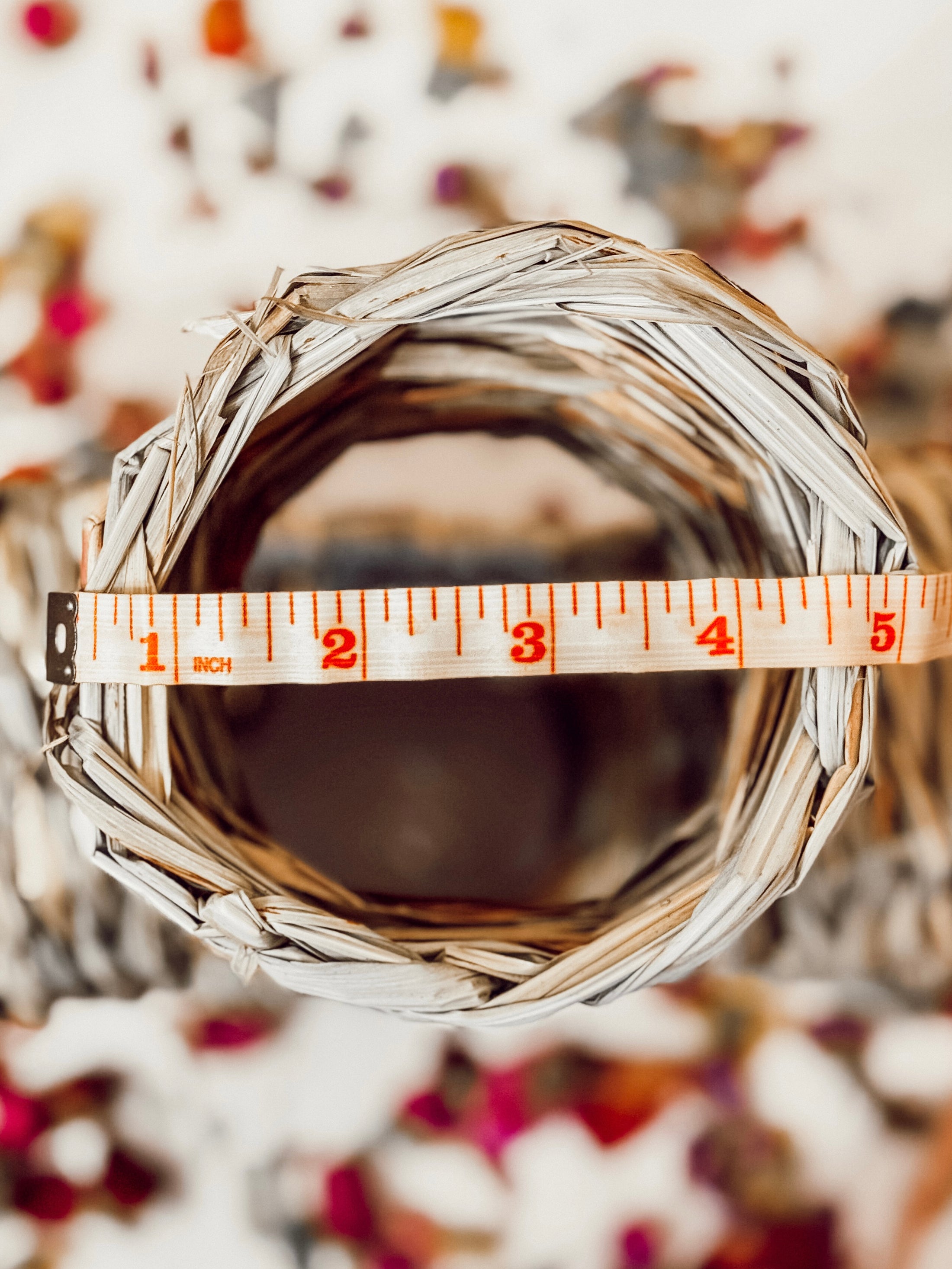 Grassy 3-Entrance Tunnel