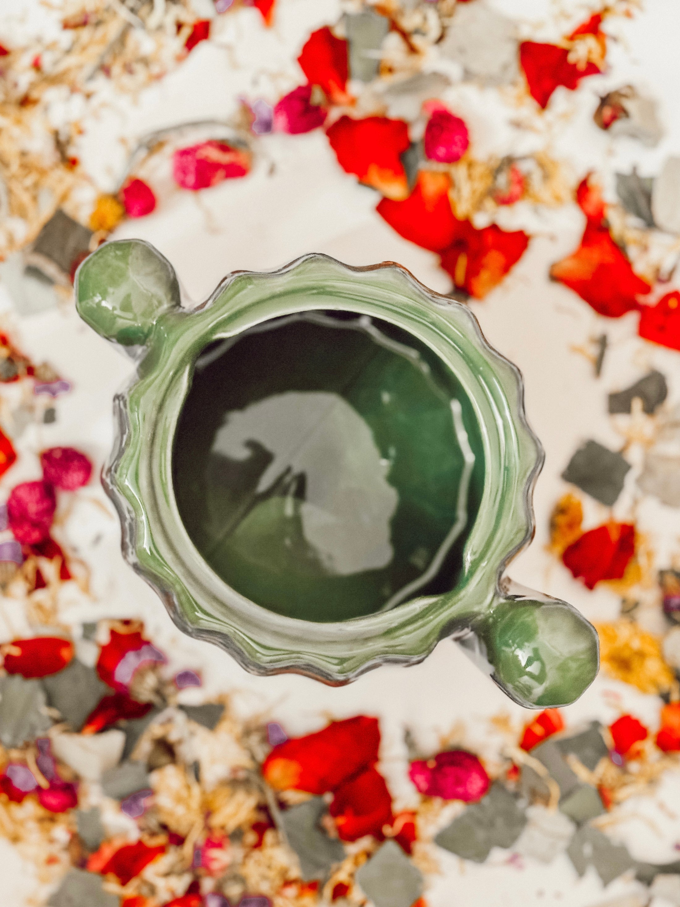 Ceramic Cactus Desert Flower (Bucatstate)