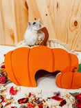 Load image into Gallery viewer, Pumpkin Patch Hide