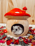 Load image into Gallery viewer, Ceramic Mushroom Hide (3-colors)