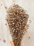 Load image into Gallery viewer, Large Bundle of Flax Sprays (125g)