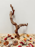 Load image into Gallery viewer, Grapevine Wood