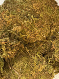 Load image into Gallery viewer, Natural Forest Moss (150g)