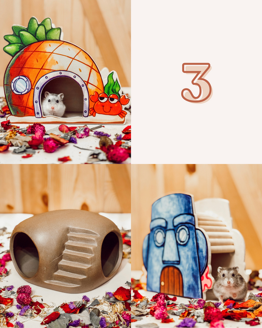 Squarepants: The Neighborhood