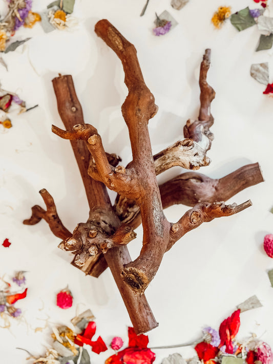 Grapevine Bundle (3-pack)