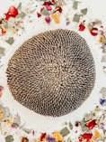 Load image into Gallery viewer, Large Sunflower Head