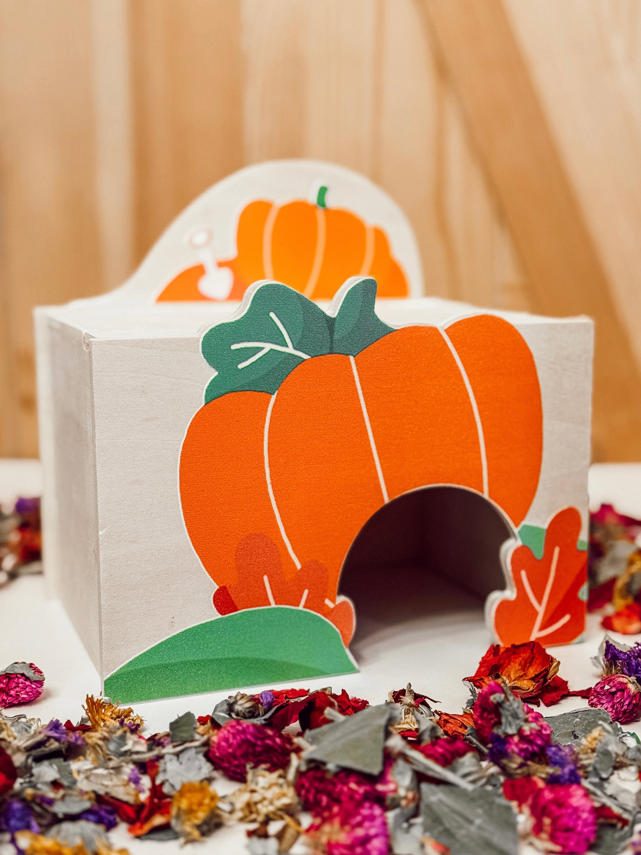 Pumpkin Platform Apartment