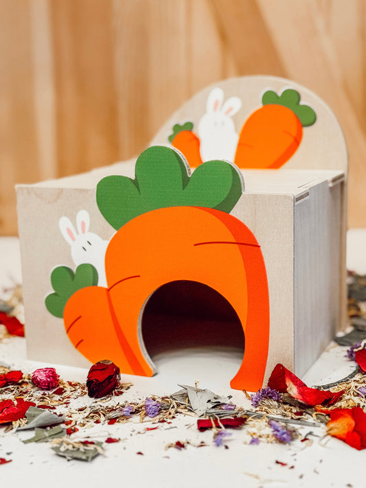 Carrot Platform Apartment