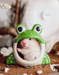 Load image into Gallery viewer, Ceramic Frog Hide