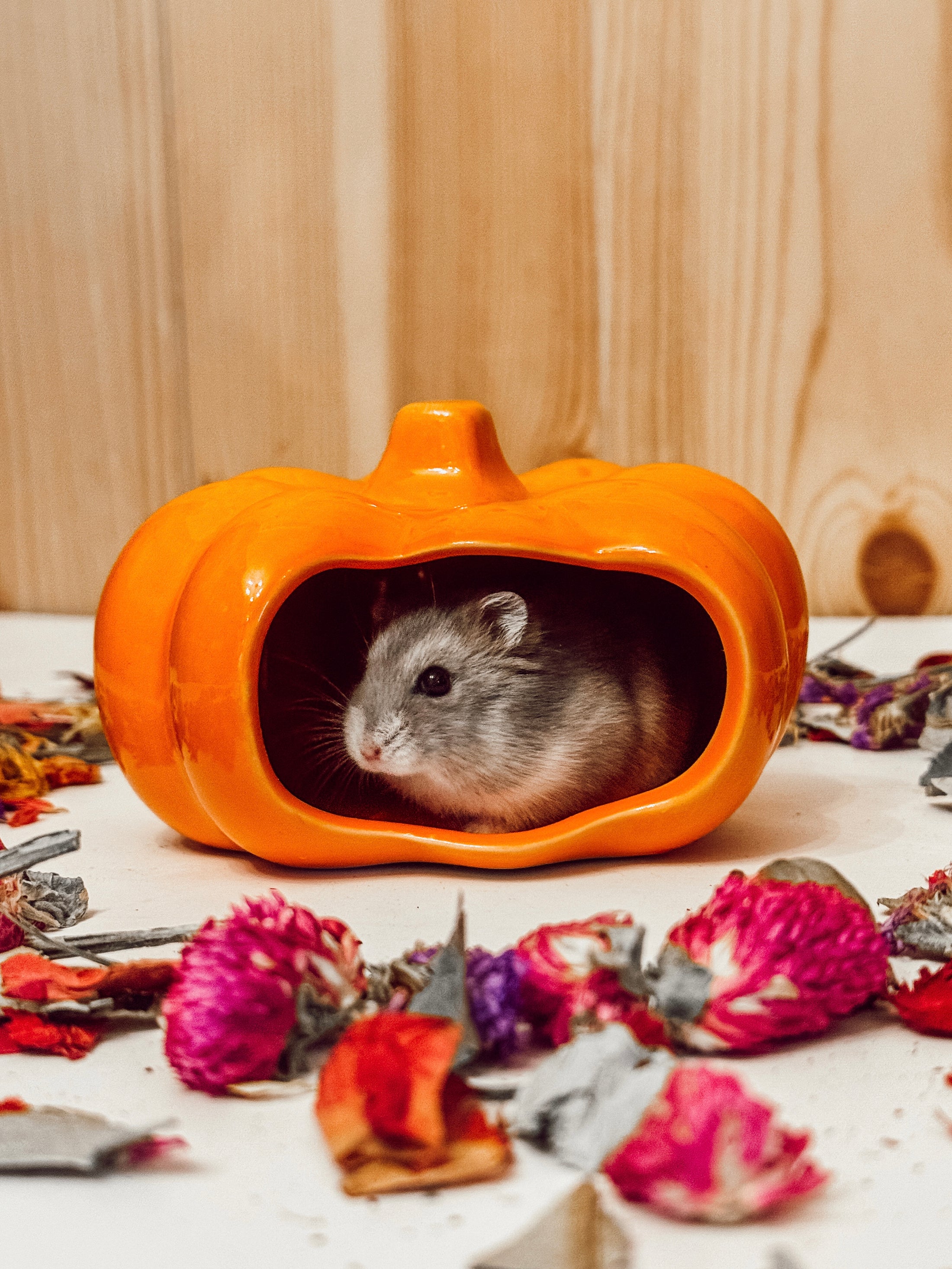 Ceramic Perfect Pumpkin