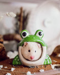 Load image into Gallery viewer, Ceramic Frog Hide
