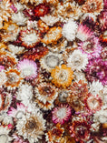 Load image into Gallery viewer, Fairy Garden Flower Mix (75g)