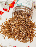 Load image into Gallery viewer, Dried Mealworm Treats (75g)