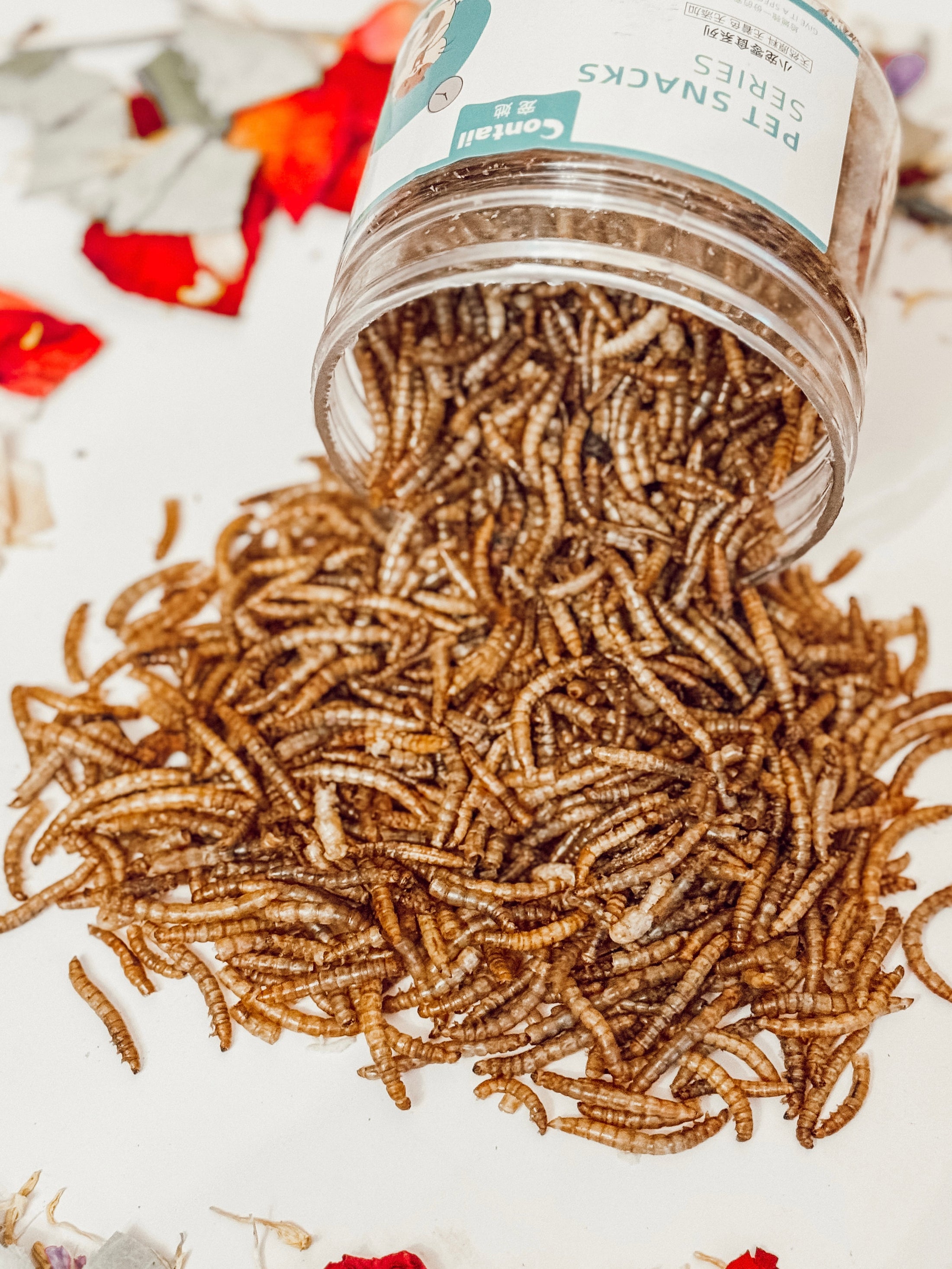 Dried Mealworm Treats (75g)