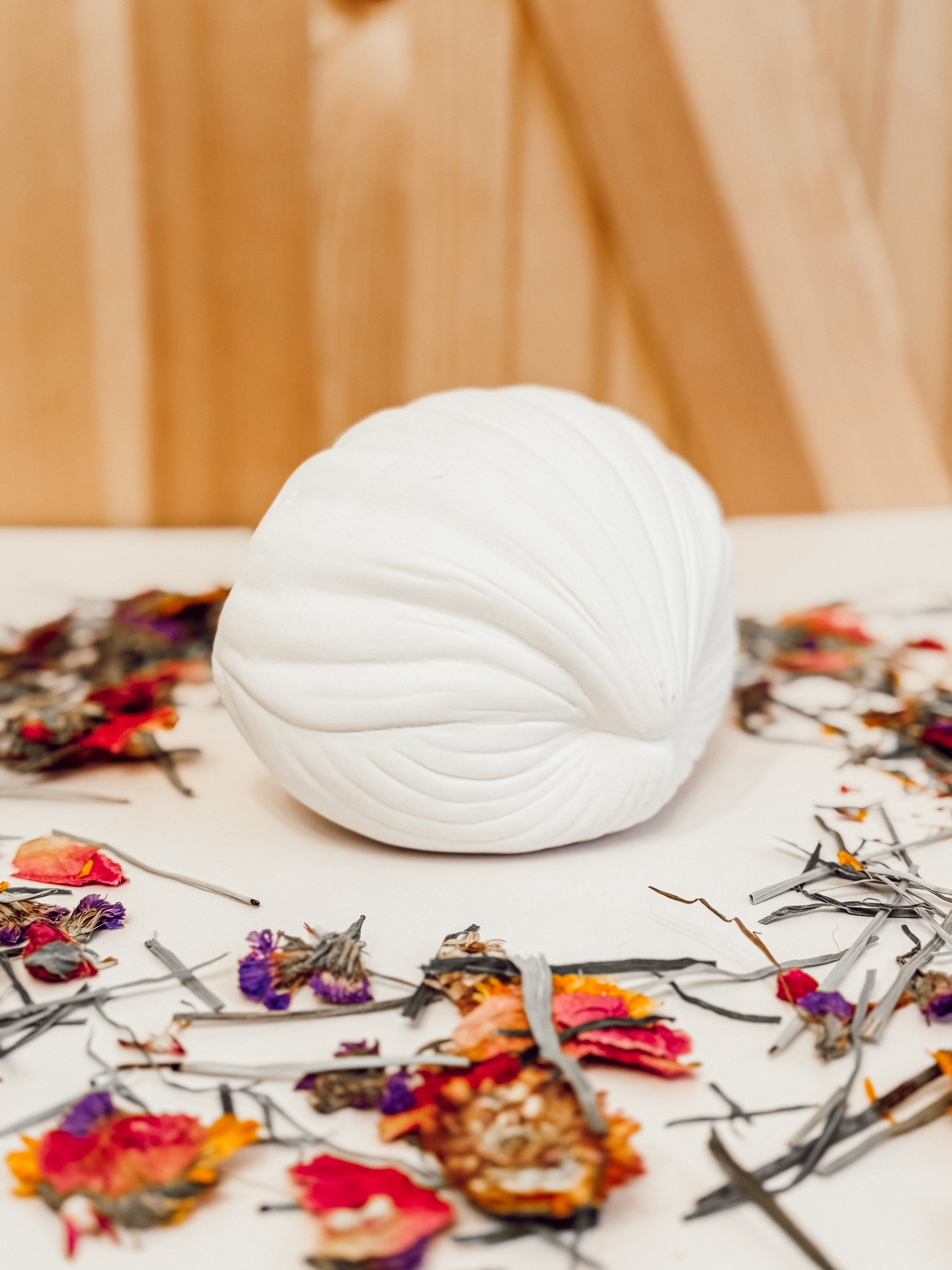 Ceramic Sea Shell (2-colors)