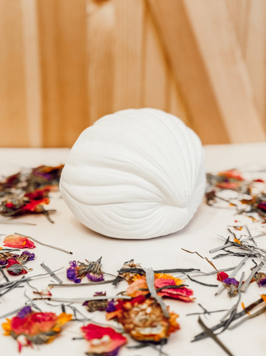 Ceramic Sea Shell (2-colors)