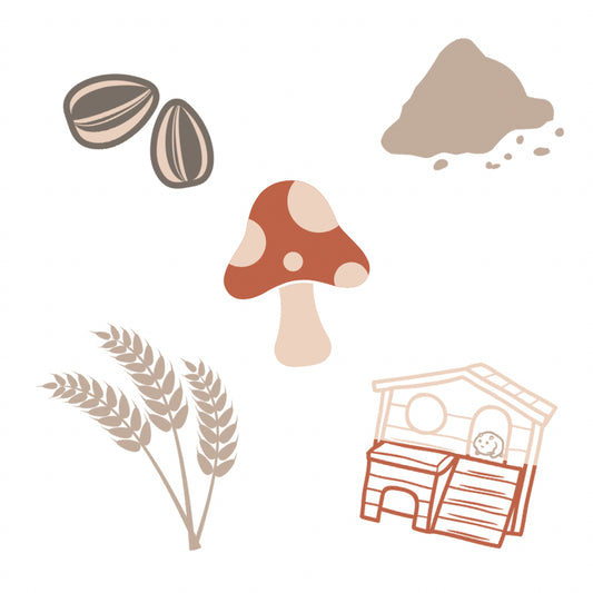 Ultimate Mystery Bundle (5-pack)