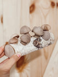 Load image into Gallery viewer, Mushroom Forage Puzzle Toy