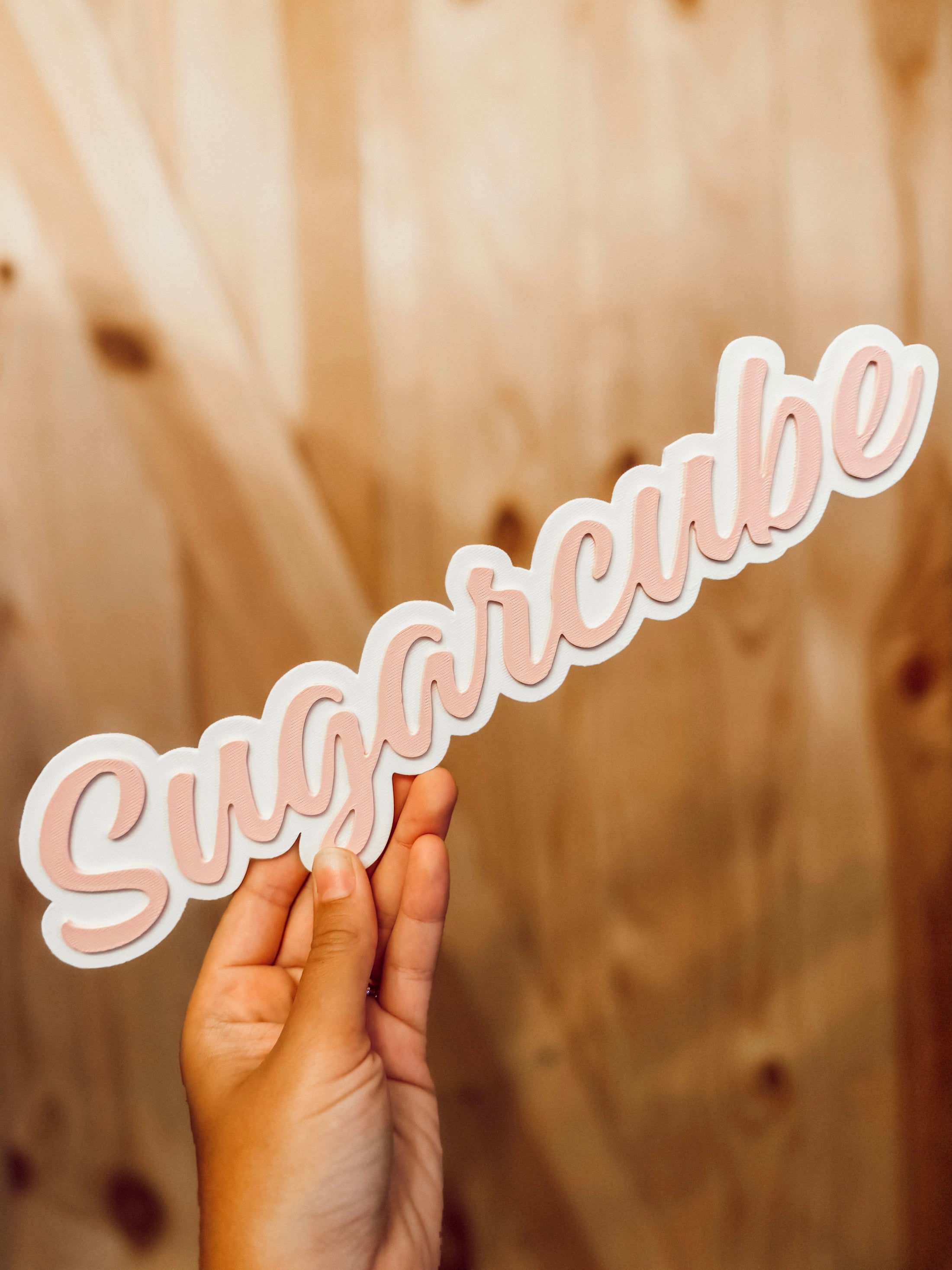 Custom Enclosure Name Tag (Large)