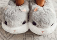Load image into Gallery viewer, Hamster Slippers (2-colors)