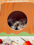 Load image into Gallery viewer, Forest Stump Hideaway