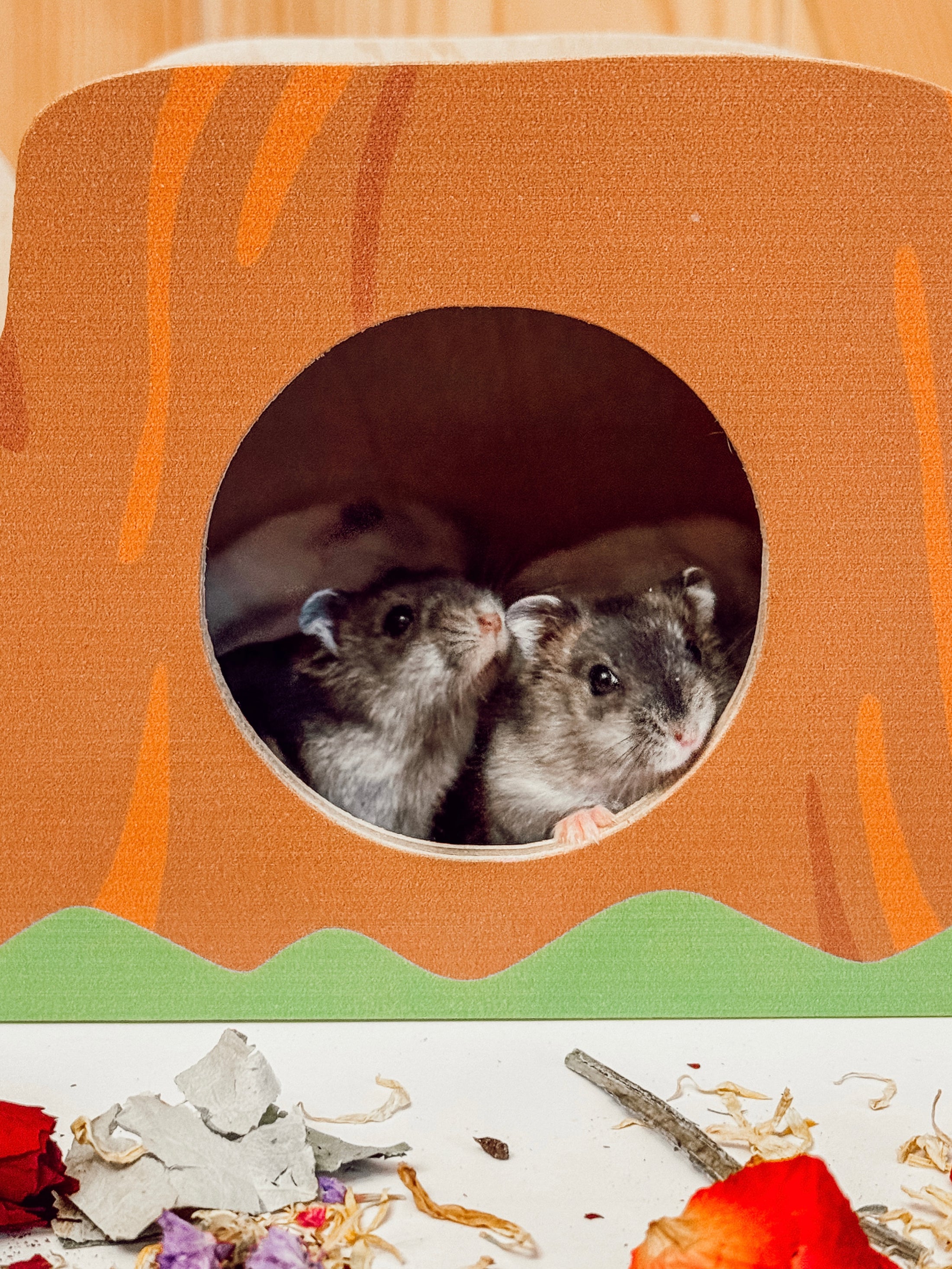 Forest Stump Hideaway