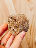 Load image into Gallery viewer, Lotus-Pod Shaped Chew Treat