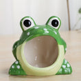 Load image into Gallery viewer, Ceramic Frog Hide