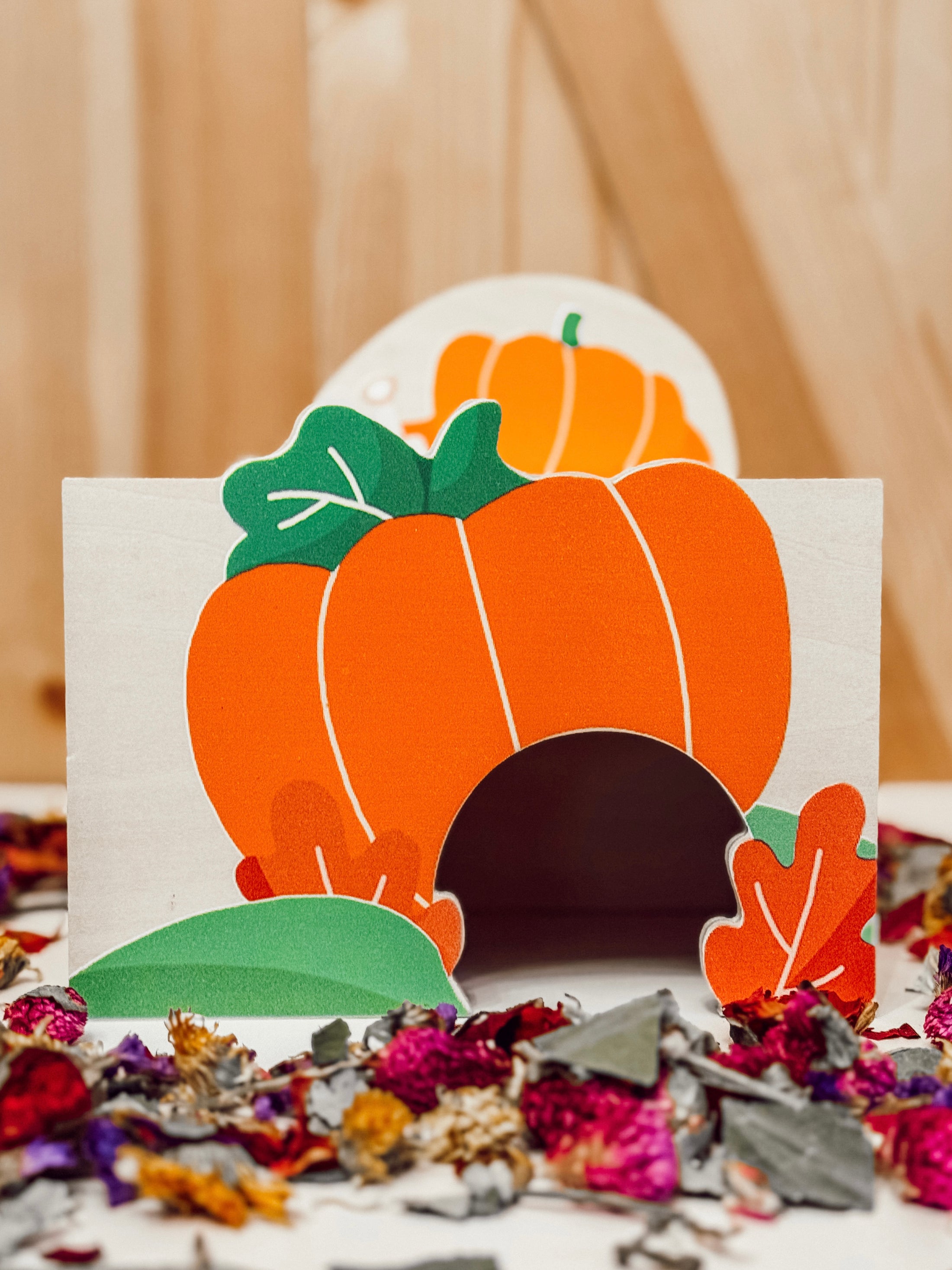 Pumpkin Platform Apartment