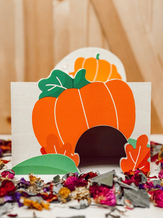 Pumpkin Platform Apartment