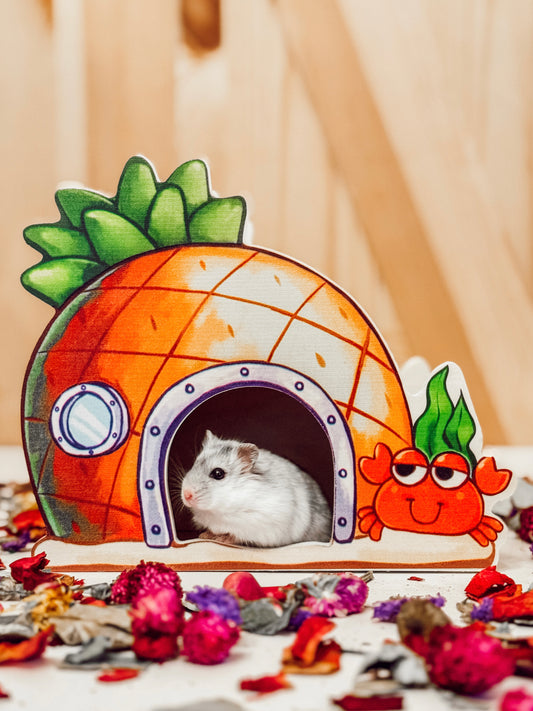 Squarepants: The Neighborhood