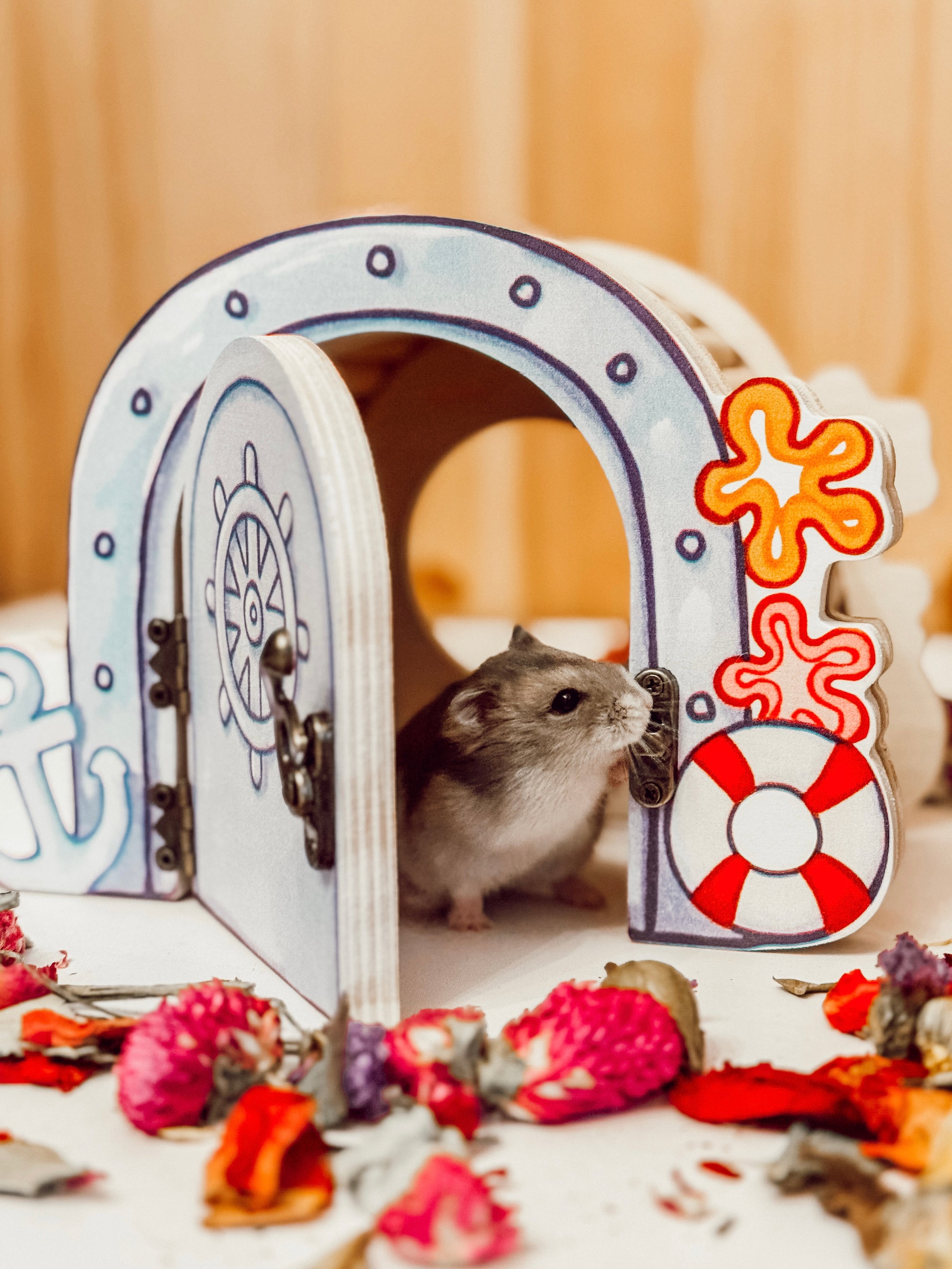 Magnet Vault Peek-A-Boo