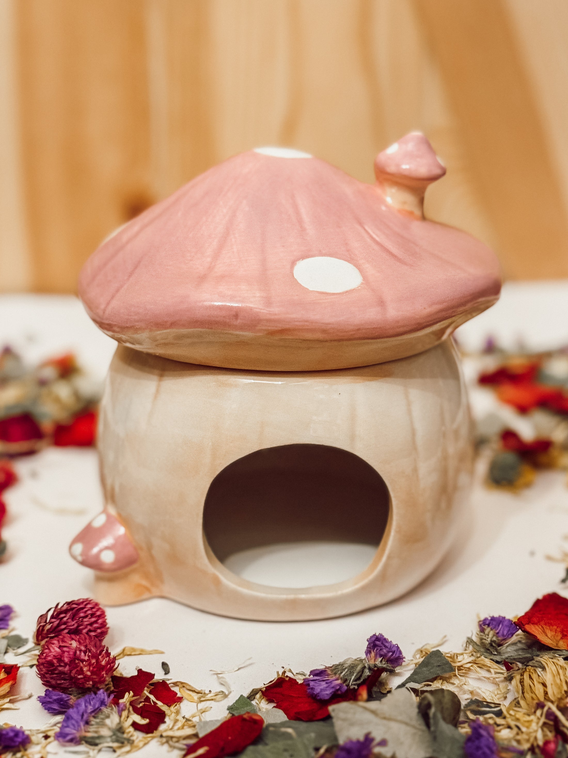 Ceramic Mushroom Hide (3-colors)