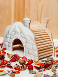 Load image into Gallery viewer, Snowy Igloo Hideaway