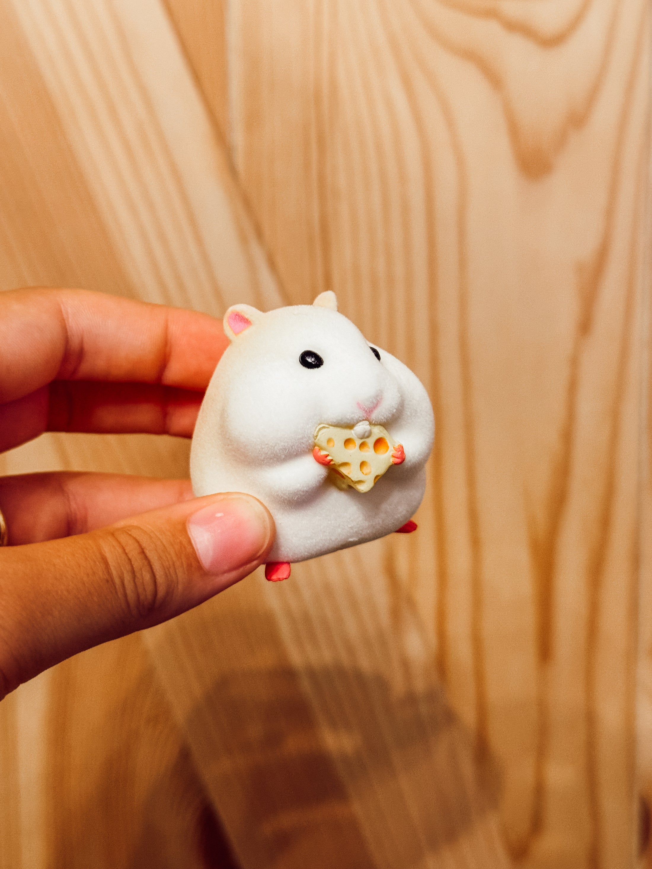 Ultimate Hamster Car-Accessory Collection